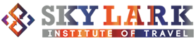 Skylark Institute logo icon